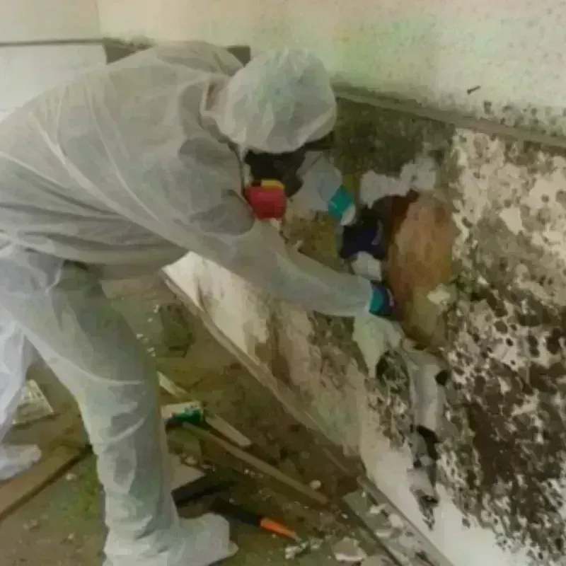 Mold Remediation and Removal in Murdo, SD